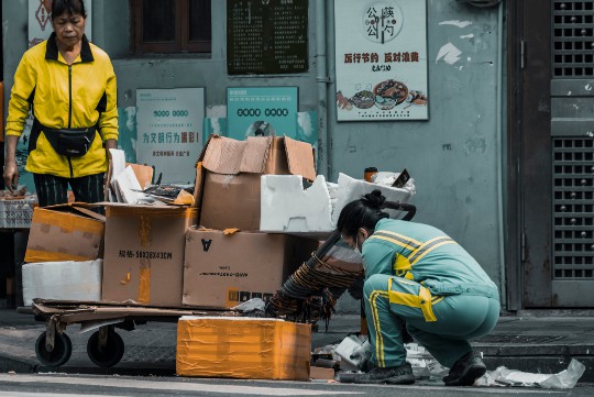 伤代表什么动物生肖，深度解读生肖与人生百态中的伤害元素