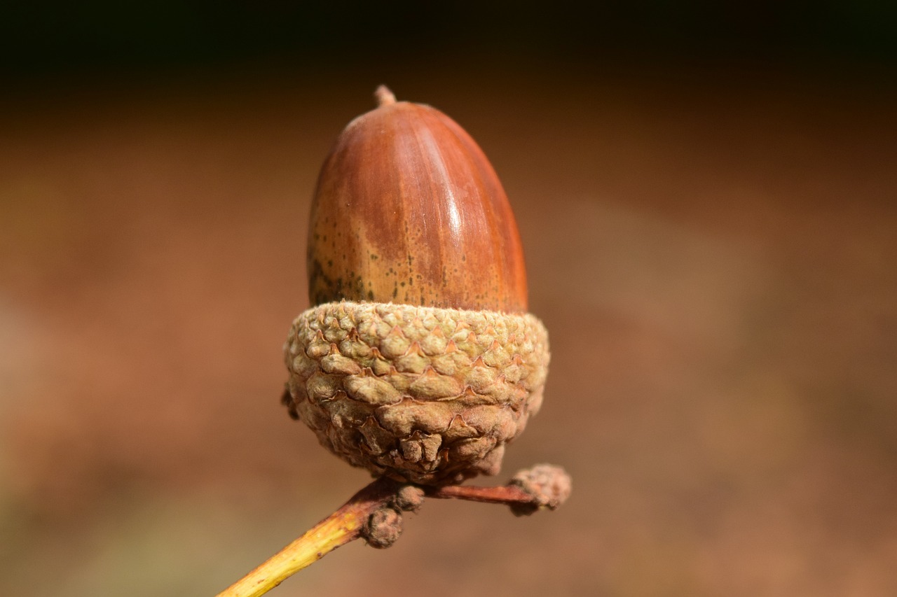 2023最新破解，风水葫芦挂哪里最旺运？